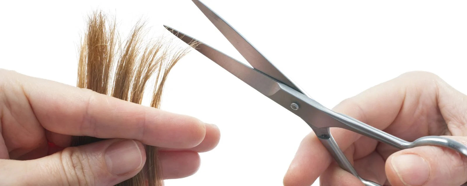scissors cutting the tip of hair