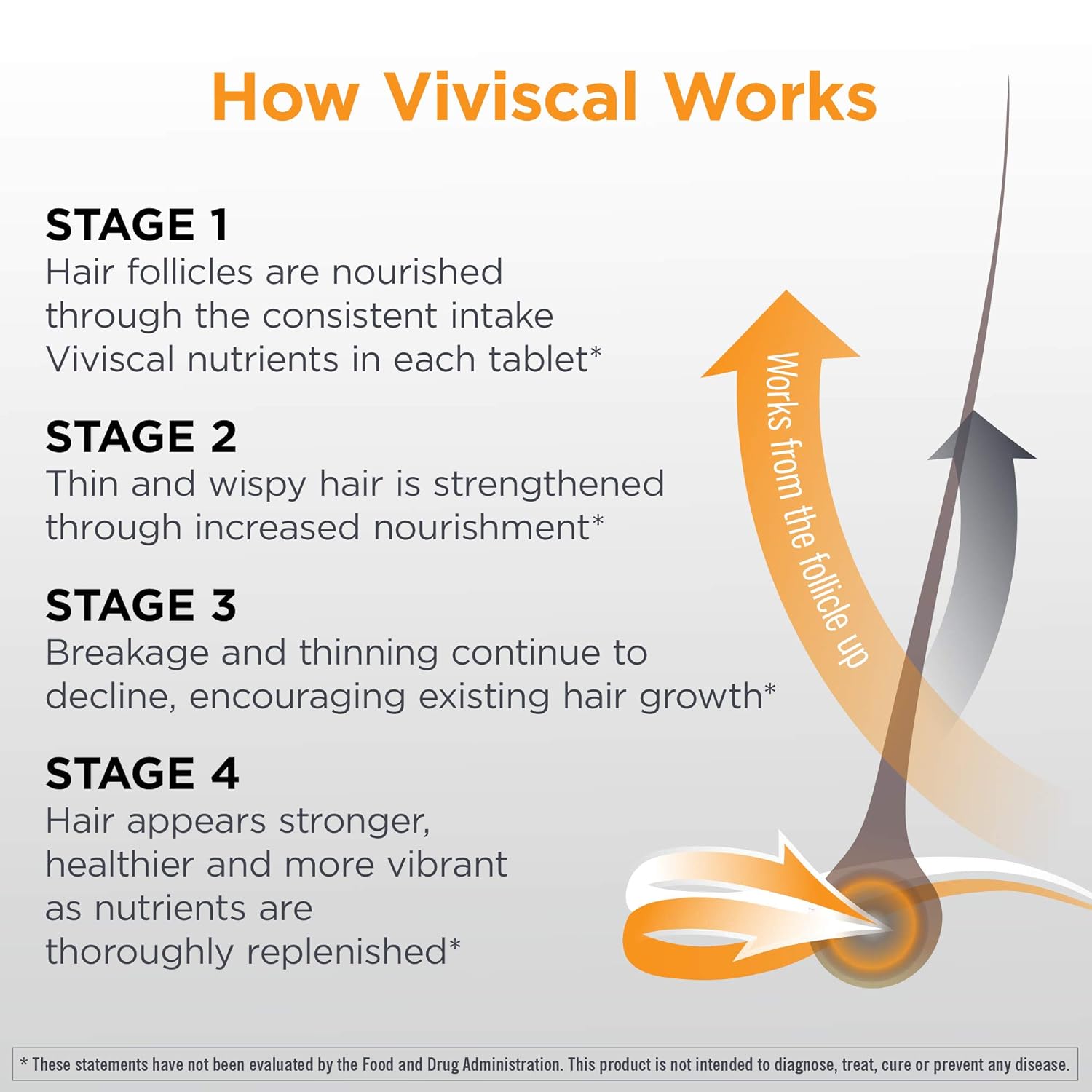 How Viviscal works, stage one thru four