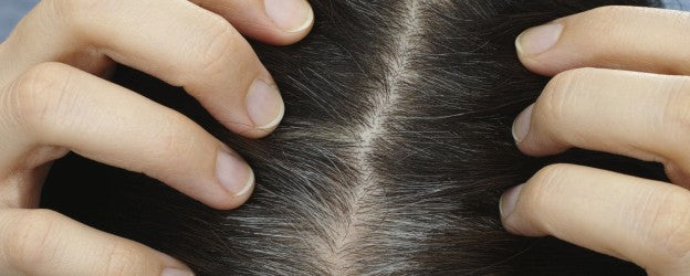 close up image of hair roots