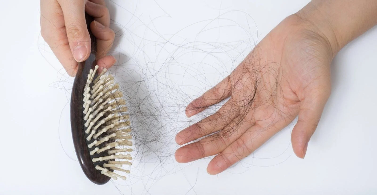 hair brush with tangled hair 