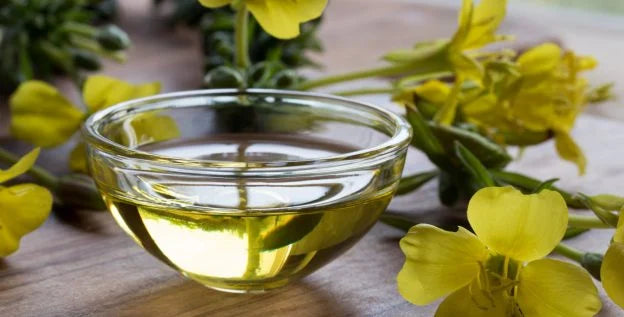 The Power of Evening Primrose Oil for Hair Loss